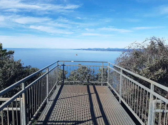 Majestic Views from Table Cape Lookout
