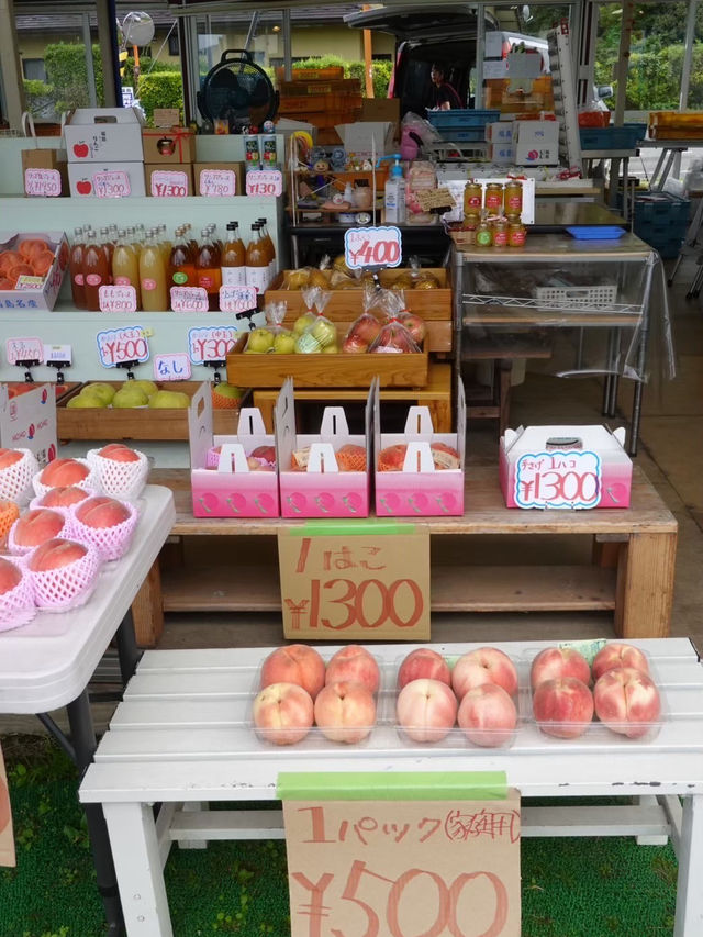 【福島】秋の味覚を堪能🍇果物王国の魅力