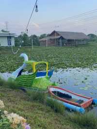 ที่พักอยุธยา ท่ามกลางธรรมชาติ 