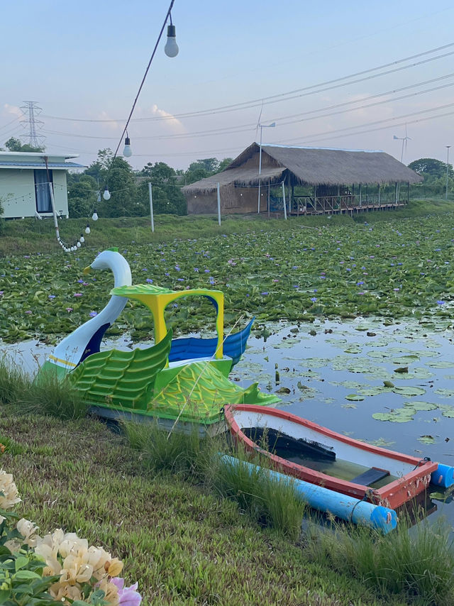 ที่พักอยุธยา ท่ามกลางธรรมชาติ 