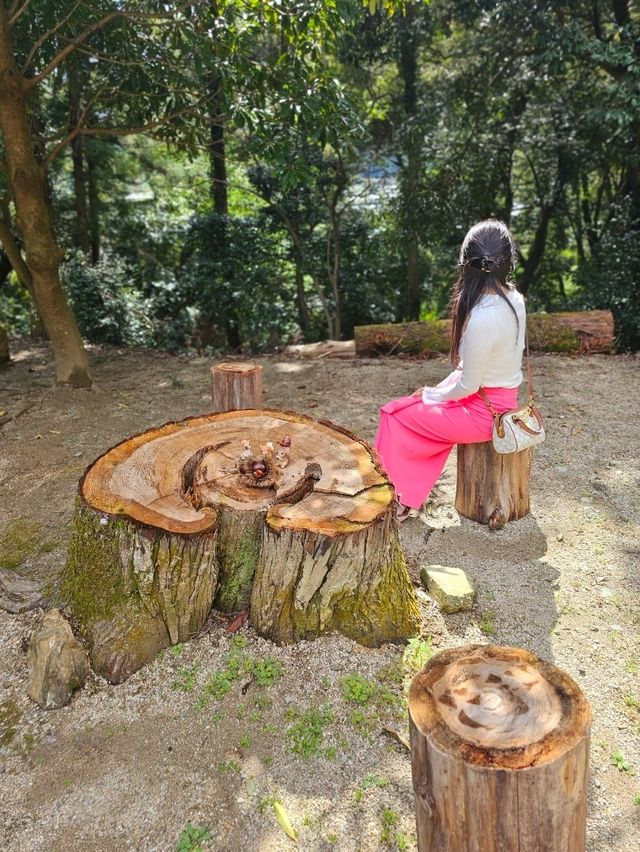 【リスがたくさん？！癒しとかわいいが詰まった神社】