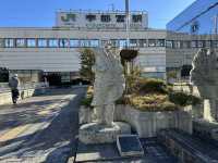 🎫連続7日間使用可能普通列車乗り放題🎫『北海道&東日本パス』