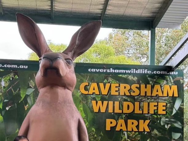 🇦🇺【オーストラリア】西オーストラリア州最大の動物園！🐨