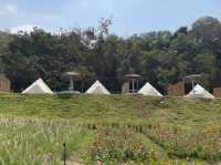 พามาฟิน คาเฟ่เปิดใหม่ Margaret Private Villa&Cafe