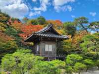 ☾︎京都☽︎ 洗練された静かで美しい日本庭園