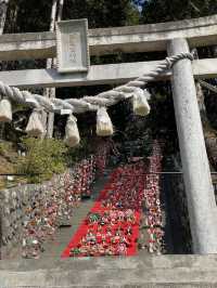 【伊豆×初春の旅】日本一！118段のひな壇飾りは圧巻！！