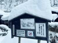 人生必試一次的日本混浴溫泉♨️！一次過享受七個溫泉的乳頭溫泉鄉🇯🇵