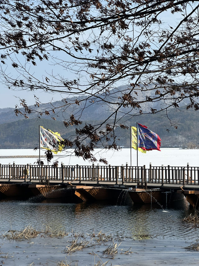❄️ 시원히게 탁트인 겨울의 자연풍경을 감상하기 좋은 겨울 여행지 ❄️