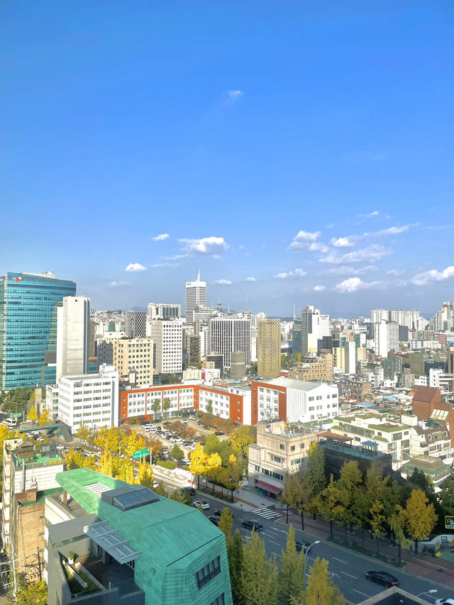 남산이 보이는 감성 호캉스🌿💫 “풀만 서울”에서 즐기는 여유로운 하루