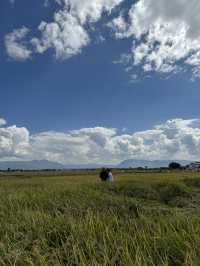 🇨🇳 Sunsets, Strolls, and Handcrafted Delights: A Day in Xizhou & Shuanglang