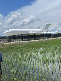 A scenic escape to Sekinchan