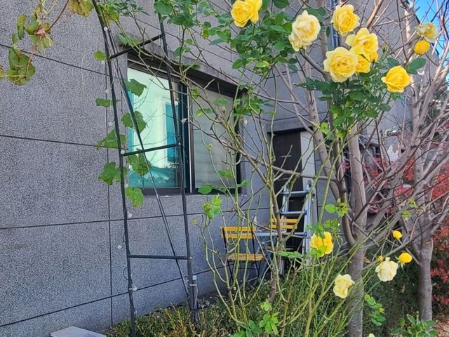 서울 당일치기 여행 공략 가이드!