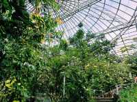 泰國曼谷特色博物館景點:曼谷蝴蝶館。免費參觀，適合打卡拍照📸親子遊