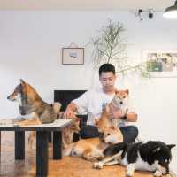 คาเฟ่น้องหมาชิบะ ที่เขาใหญ่🐕