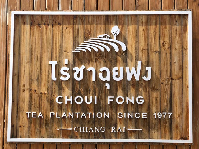 ไร่ชาฉุยฟง 🍵
