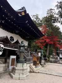 滋賀｜近江八幡水鄉風情 連接琵琶湖的昔日商業動脈