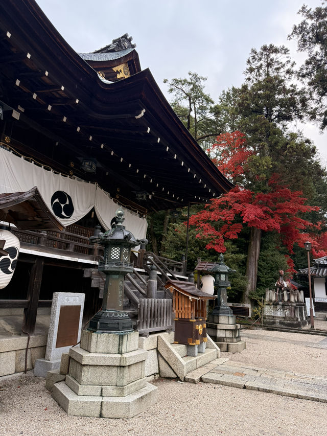 滋賀｜近江八幡水鄉風情 連接琵琶湖的昔日商業動脈
