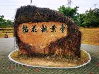 陌上花園浪漫花海