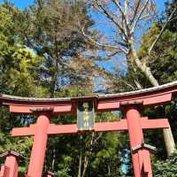 彌彥神社燈籠參道與戀人瀑布