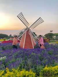 Taiwan in 3 Days: Blossoms, Mountains, and Hidden Gems