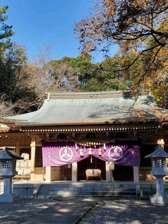 紅葉が美しいおすすめスポット