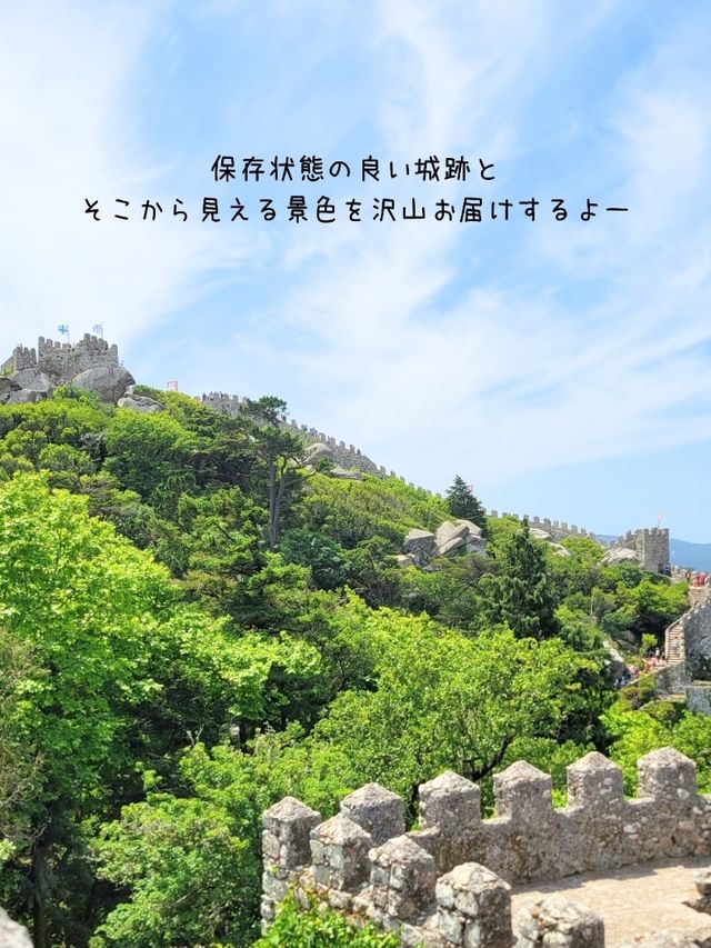 【ポルトガル／シントラ】まるでポルトガルの万里の長城「ムーアの城跡」⁡