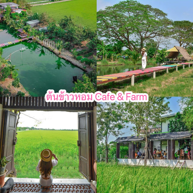 แนะนำคาเฟ่ปทุมธานี