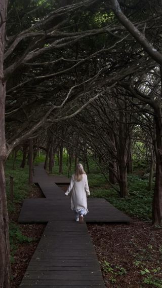 Mangrove experience 