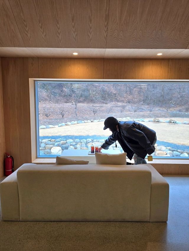 야외 대형트리존이 멋진 함안 신상카페🎄