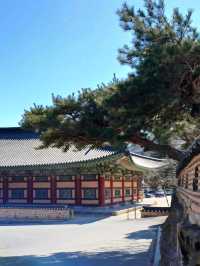 고즈넉한 산사 길, 걷기 좋은 사찰🌿🚶‍♂️