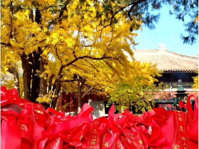 วิธีเดินทาง(รถไฟ) : ปักกิ่ง->กำแพงเมืองจีนMutianyu