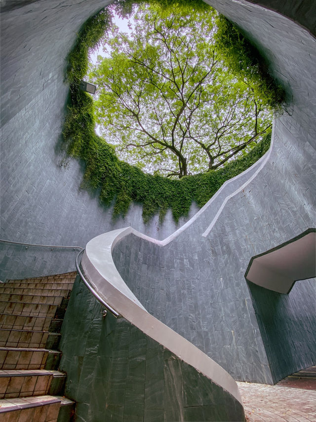 Fort Canning Tree Tunnel 📸🌿