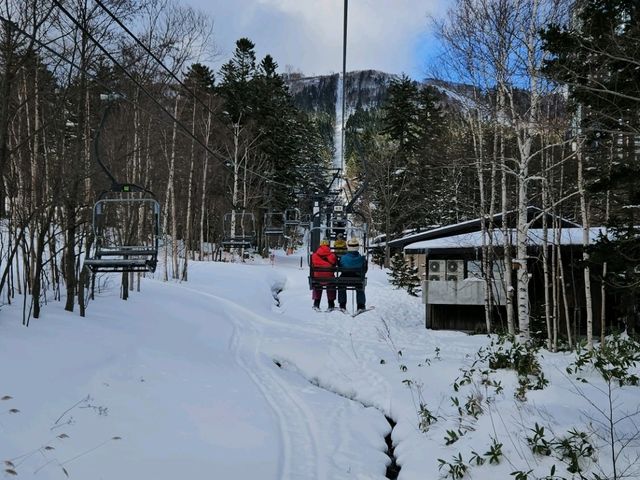 Wholely White Hokkaido 😍