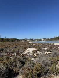Rottnest Island Cycling Guide
