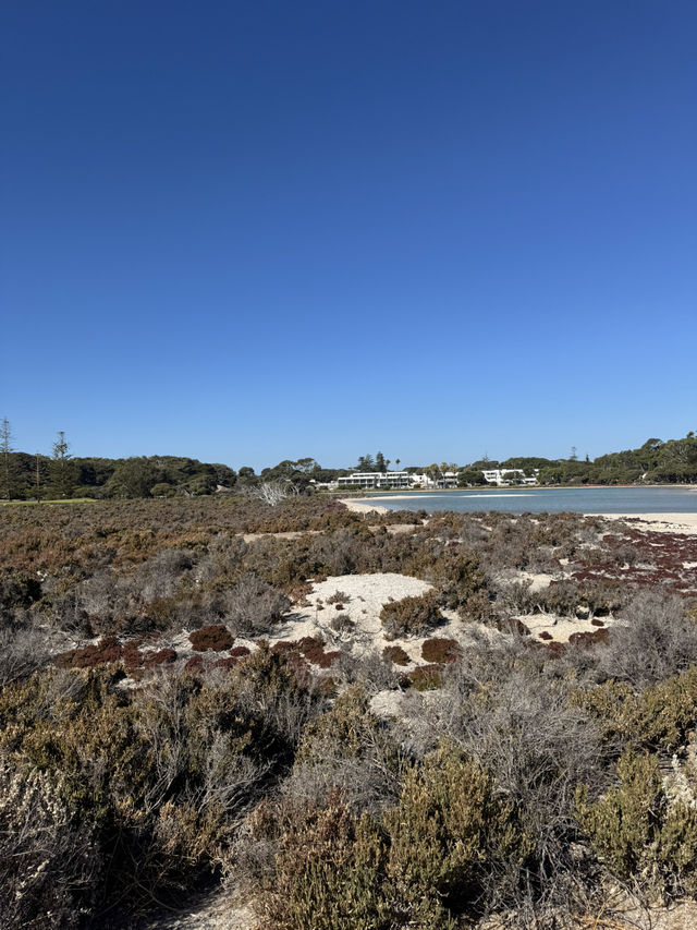 Rottnest Island Cycling Guide