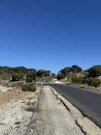 Rottnest Island Cycling Guide