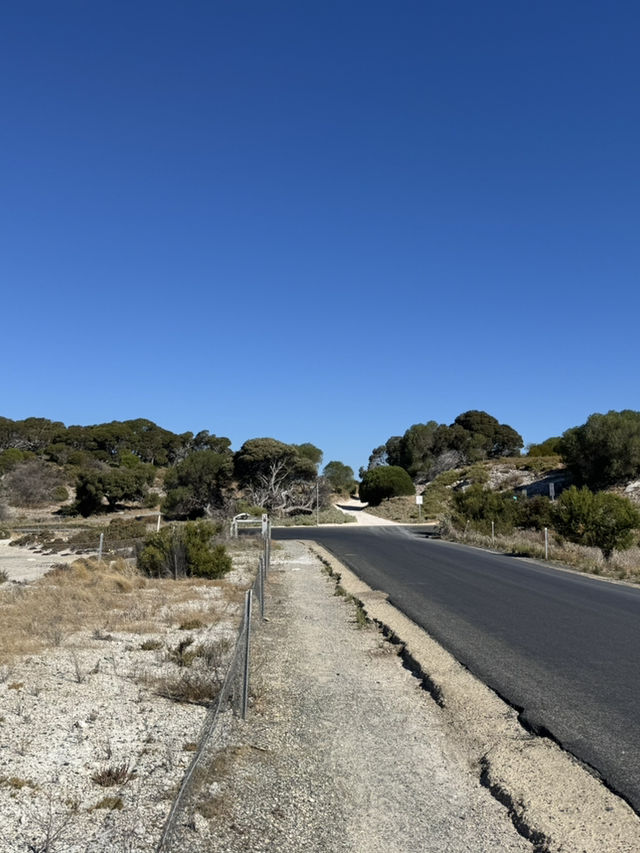 Rottnest Island Cycling Guide