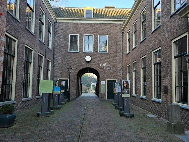 Leiden's Botanical Garden (Hortus Botanicus)