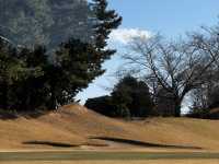 奢華高爾夫溫泉度假莊園⛳️眺望富士山及大室山 Southern Cross Resort #東京近郊