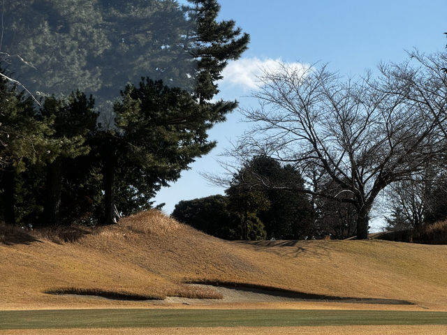 奢華高爾夫溫泉度假莊園⛳️眺望富士山及大室山 Southern Cross Resort #東京近郊