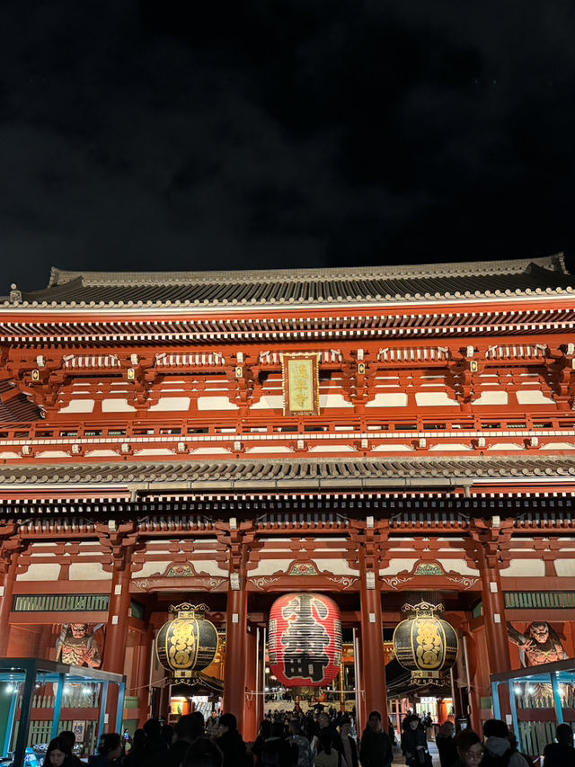秋葉原、淺草與上野動物園的一日遊冒險 🌟