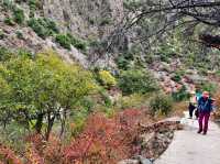 Ninong Valley: A Hidden Treasure in Yunnan