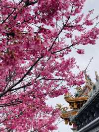 竹林山觀音寺