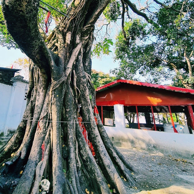 山の上にそびえる神聖な寺院⛰️🛕