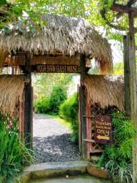 The Yoga Barn: more than just a regular yoga studio