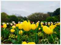 วิธีเดินทาง: Fukuoka -> Nokonoshima Island Park