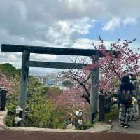 Nago Castle Park
