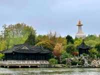 煙花三月下揚州，江南必遊瘦西湖 Slender West Lake