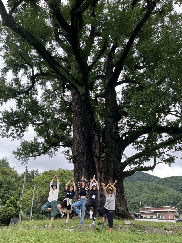 비오는 여름에 함양에 방문해보세요!