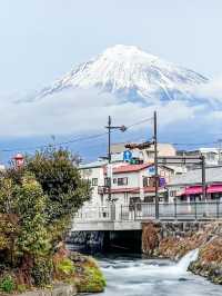 富士山も見える🏔️富士宮焼きそば一気に3店舗食べ歩けるスポット！